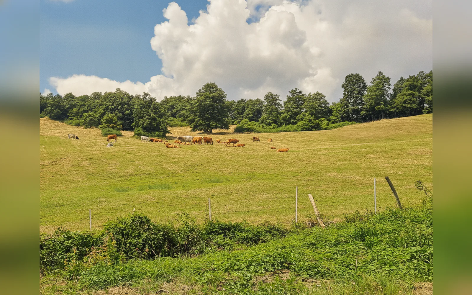 Esterni di La piccola baita, Pieve Santo Stefano (foto 24)